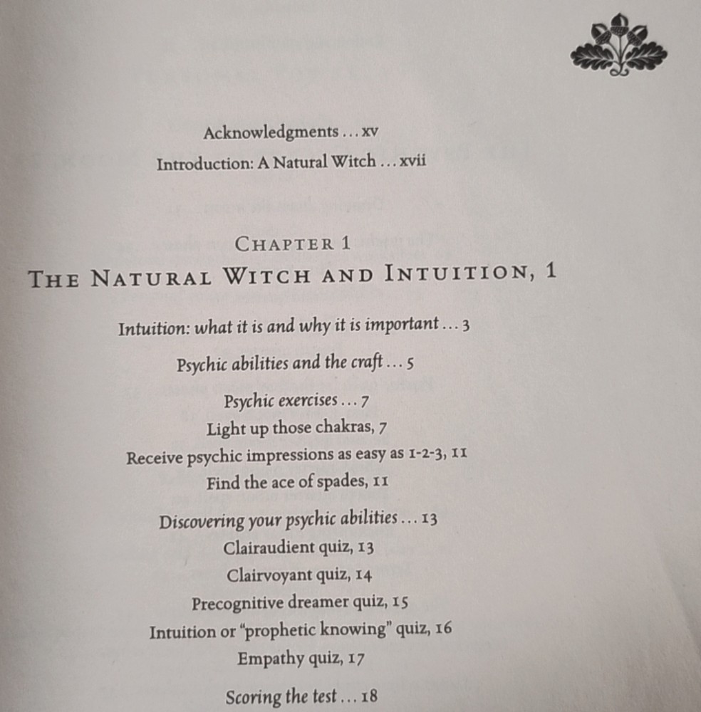 Natural Witchery Book